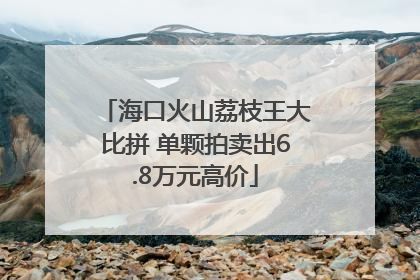 海口火山荔枝王大比拼 单颗拍卖出6.8万元高价